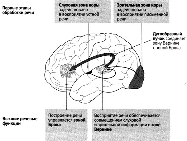 В поисках памяти