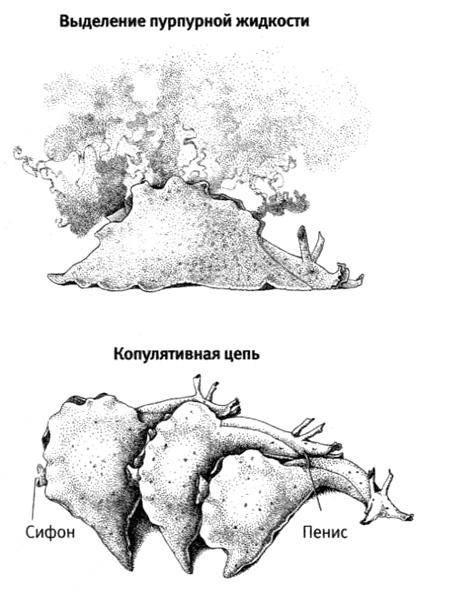 В поисках памяти