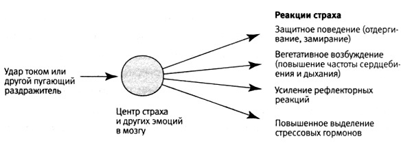 В поисках памяти