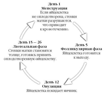 Дочковедение. Отцы, воспитывающие дочерей