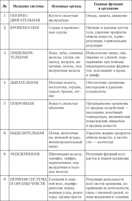 Как оставаться молодым и жить долго