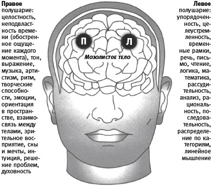 Мышление наоборот