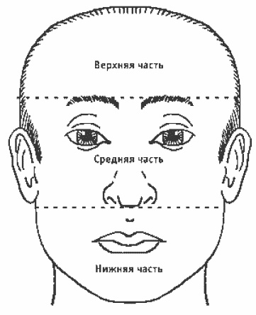 Покажи мне свою сумочку – и я скажу, кто ты. 32 фокуса визуальной психодиагностики