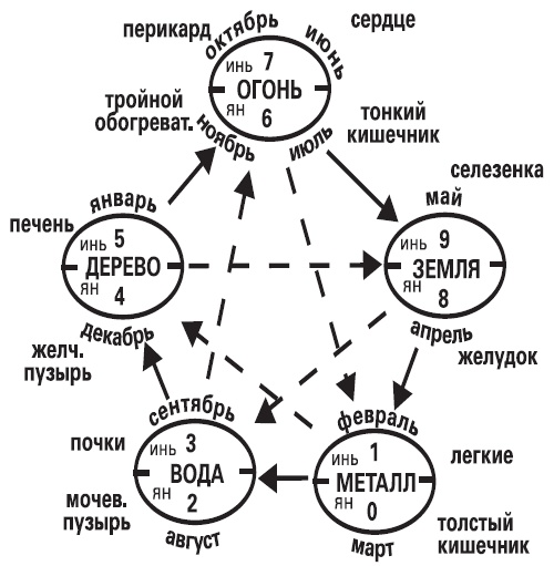 Жемчужины азиатской медицины