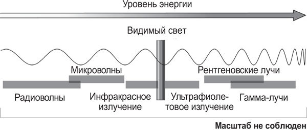 Вселенная внутри вас