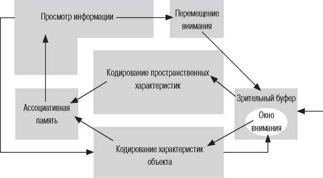 Мысленные образы. Когнитивный подход