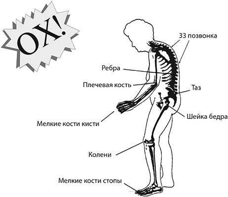 Здоровые стопы