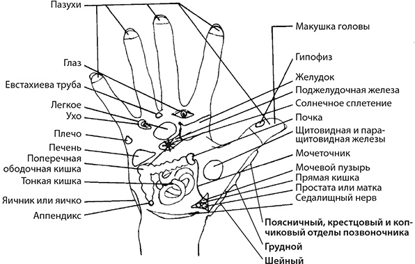 Здоровые стопы