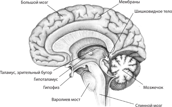 Чудо-вода