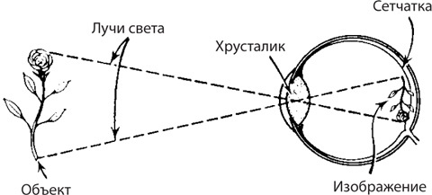 Чудо-вода