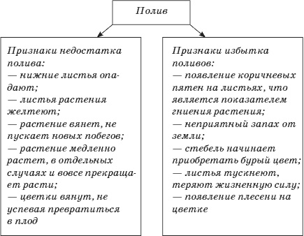 Огород у вас дома