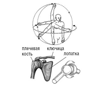 Лечимся едой. Болезни суставов и позвоночника. 200 лучших рецептов