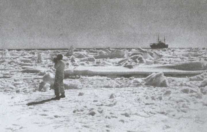 Загадочная экспедиция. Что искали немцы в Антарктиде?