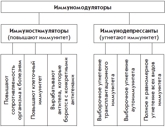 Энциклопедия защиты иммунитета. Имбирь, куркума, шиповник и другие природные иммуностимуляторы