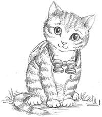 Котёнок Белла, или Любопытный носик