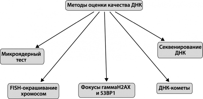 Как победить свой возраст? 8 уникальных способов, которые помогут достичь долголетия