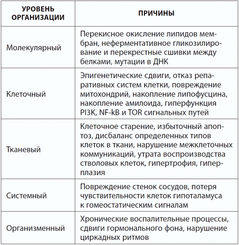 120 лет жизни – только начало. Как победить старение?