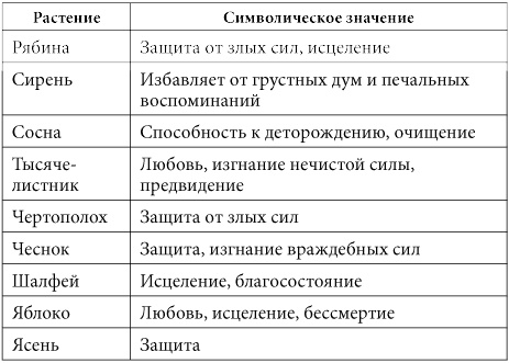 7 минут в день, чтобы желание сбылось