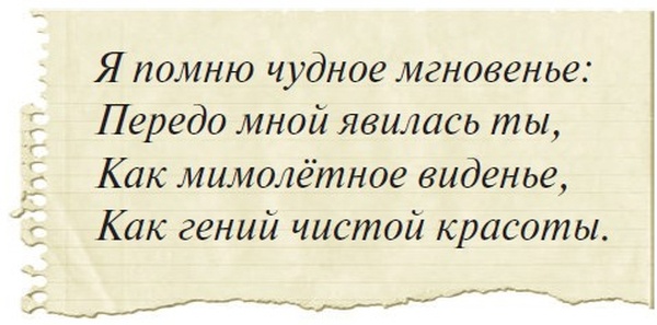 Боцман, бурундук, кот и крыса. Сказка для детей и всех остальных