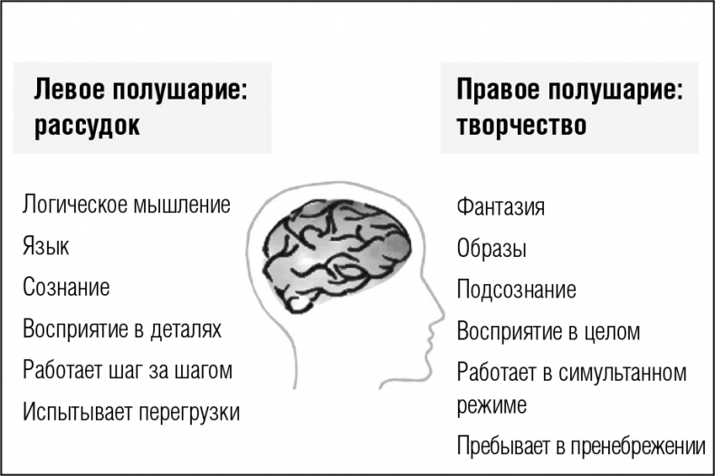 Память. Тренируй и совершенствуй!