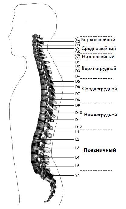 Ария для спины. Авторская программа, чтобы никогда не болели суставы