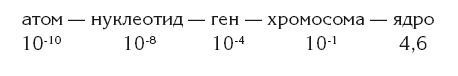 Власть рода. Родовые программы и жизненные сценарии