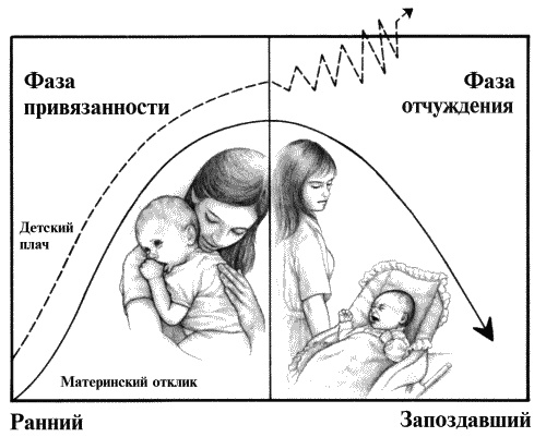 Воспитание ребенка от рождения до 10 лет