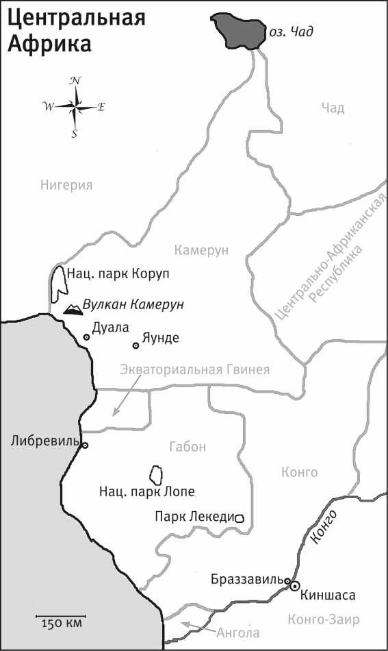 Песни драконов. Любовь и приключения в мире крокодилов и прочих динозавровых родственников