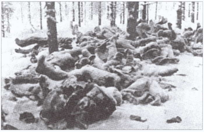 Плен. Жизнь и смерть в немецких лагерях