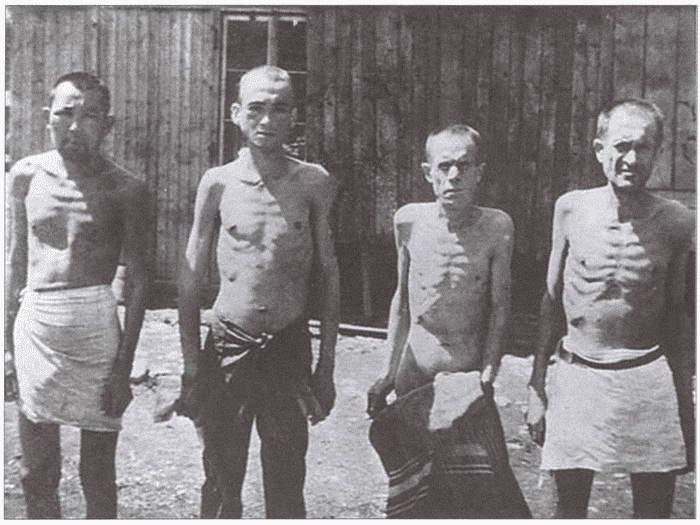 Плен. Жизнь и смерть в немецких лагерях