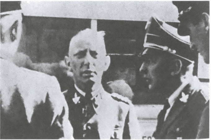 «Советские немцы» и другие фольксдойче в войсках СС