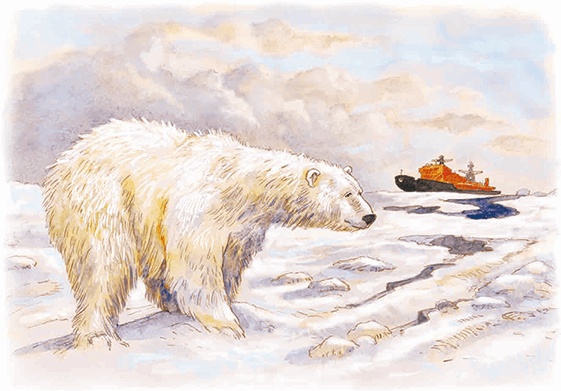 Навстречу белому медведю