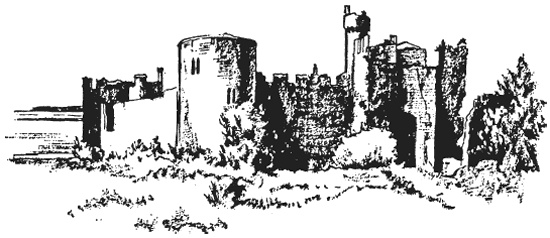 Рыцарь и его замок. Средневековые крепости и осадные сооружения