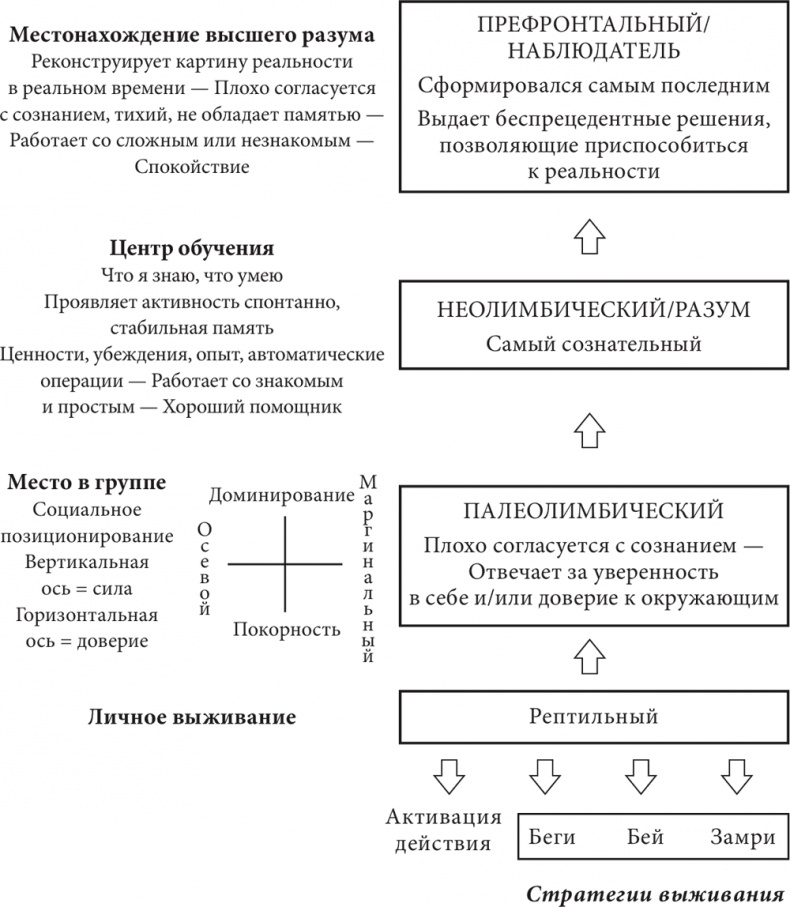 Бизнес и Трансерфинг. Нейро-квантовый метод успеха