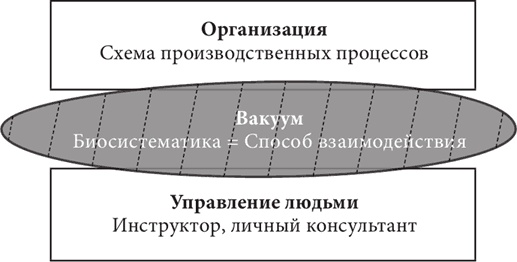 Бизнес и Трансерфинг. Нейро-квантовый метод успеха