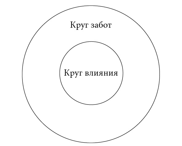 Музыка мозга. Правила гармоничного развития