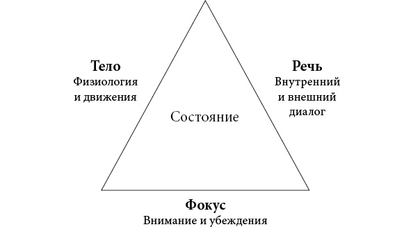 Музыка мозга. Правила гармоничного развития