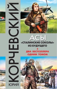 Книга Асы. «Сталинские соколы» из будущего