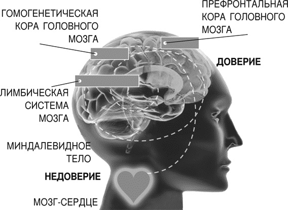 Идеальные переговоры