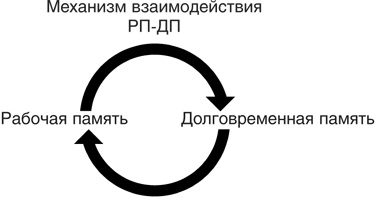 Включите свою рабочую память на полную мощь