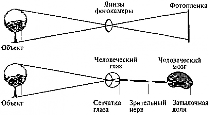 Научите себя думать