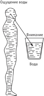 Сила стихий в твоих руках. От человека до эгрегора