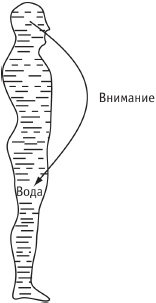 Сила стихий в твоих руках. От человека до эгрегора