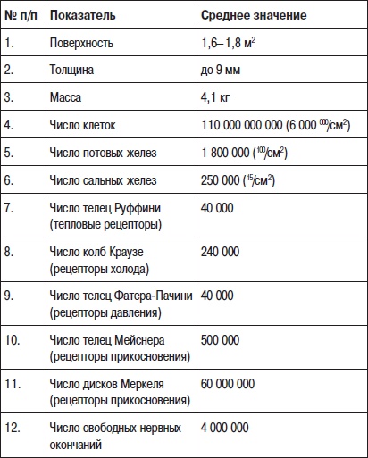 Фейслифтинг. 15 минут для молодости вашего лица