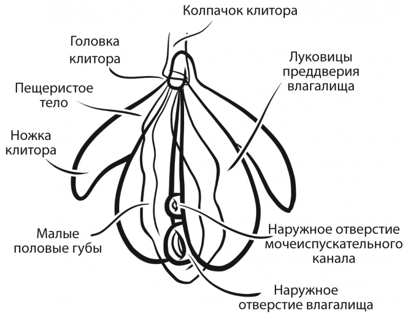 Сага об Интернациональном Доме Пизд | Пикабу