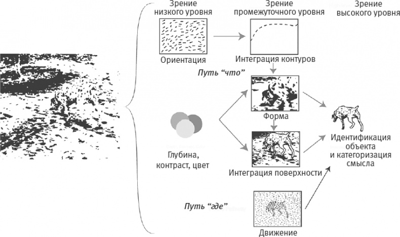 Век самопознания. Поиски бессознательного в искусстве и науке с начала XX века до наших дней