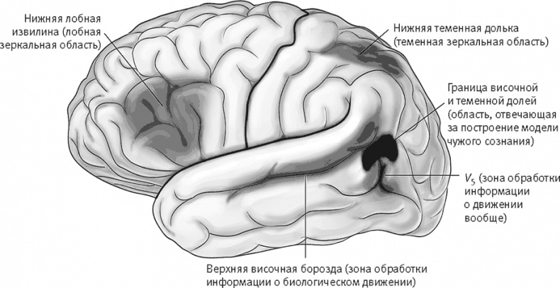 Век самопознания. Поиски бессознательного в искусстве и науке с начала XX века до наших дней