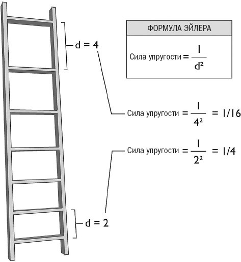 Йога при остеопорозе