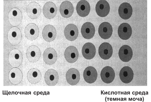 Вода для здоровья