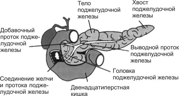 Вода для здоровья